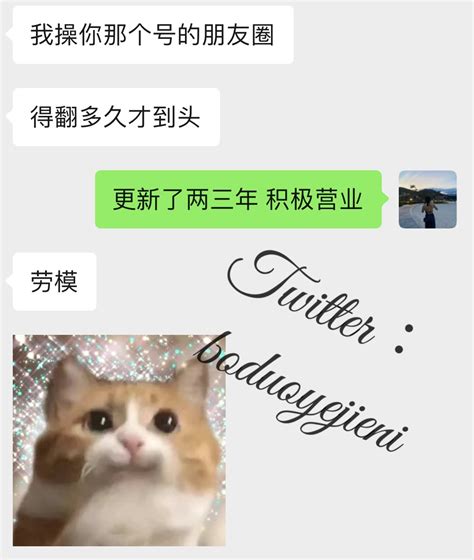 boduoyejieni leaked